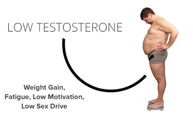 ketosis diet body burns carbs instead of fat